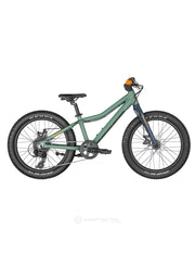 Bicicleta Roxter 20