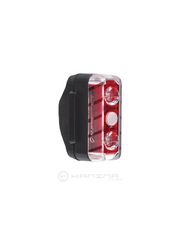 Luz Trasera BLACKBURN Dayblazer 65 USB-C