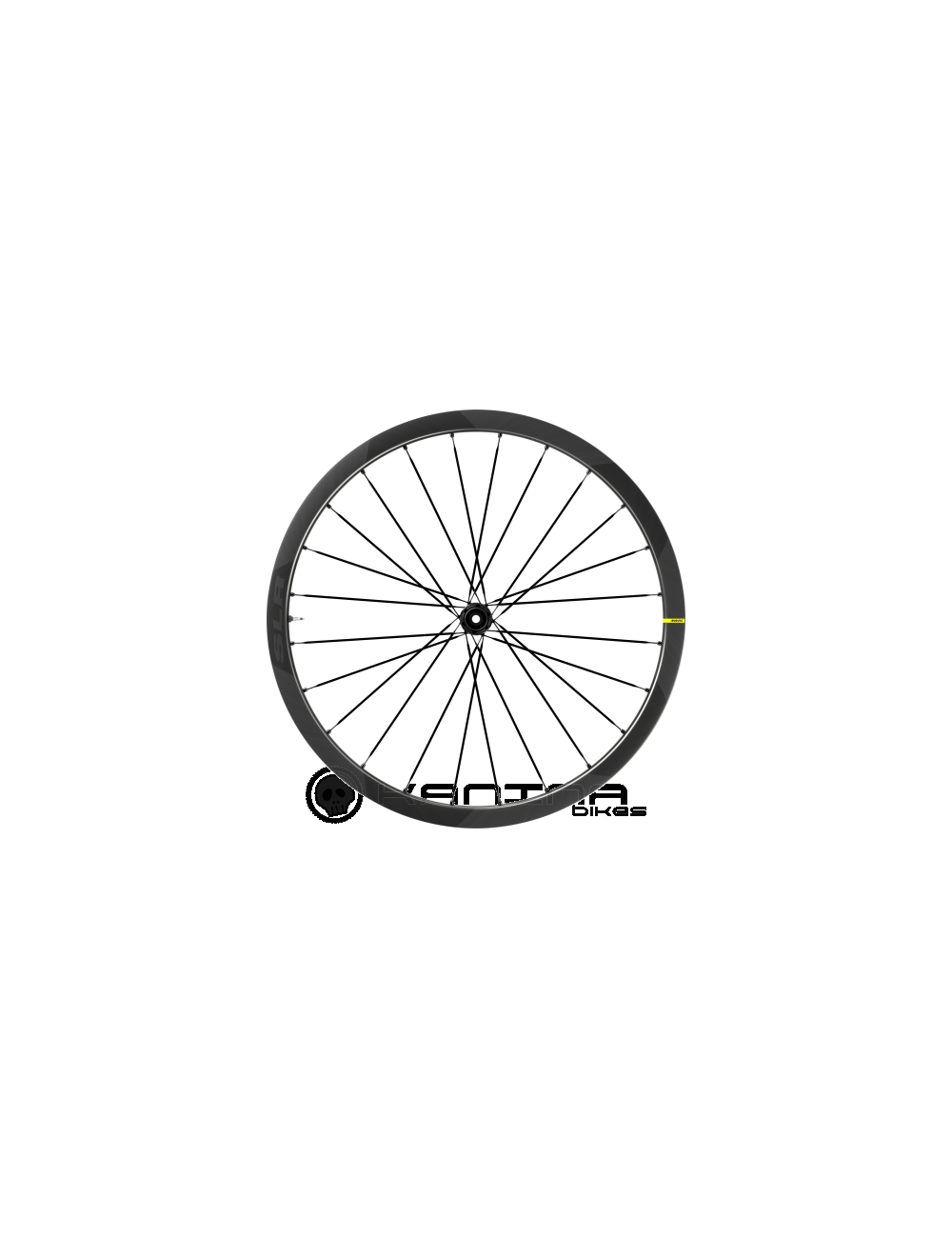 Ruedas Mavic Cosmic SLR 32 Disc