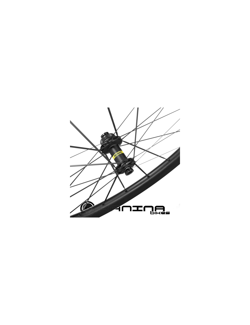 Ruedas Mavic Cosmic SLR 45 Disc