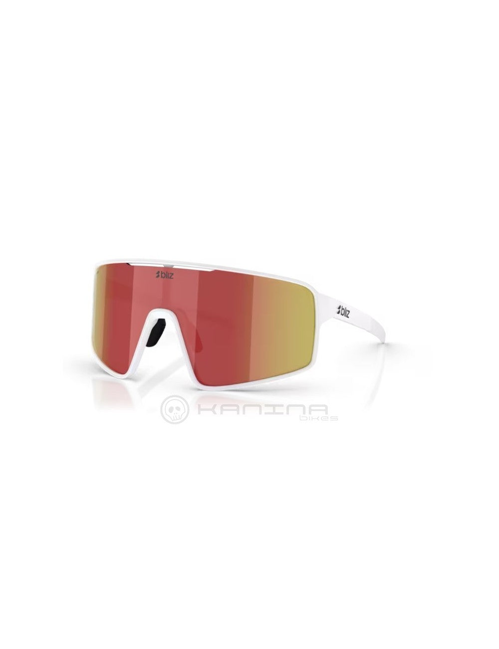 Gafas BLIZ P001