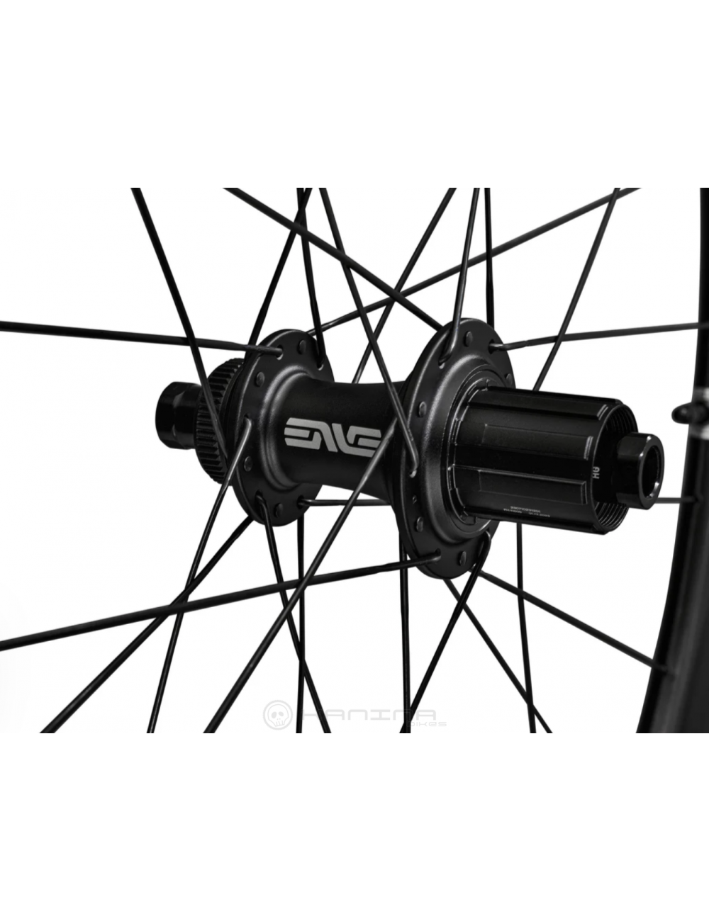 new Ruedas ENVE 45 disc Foundation